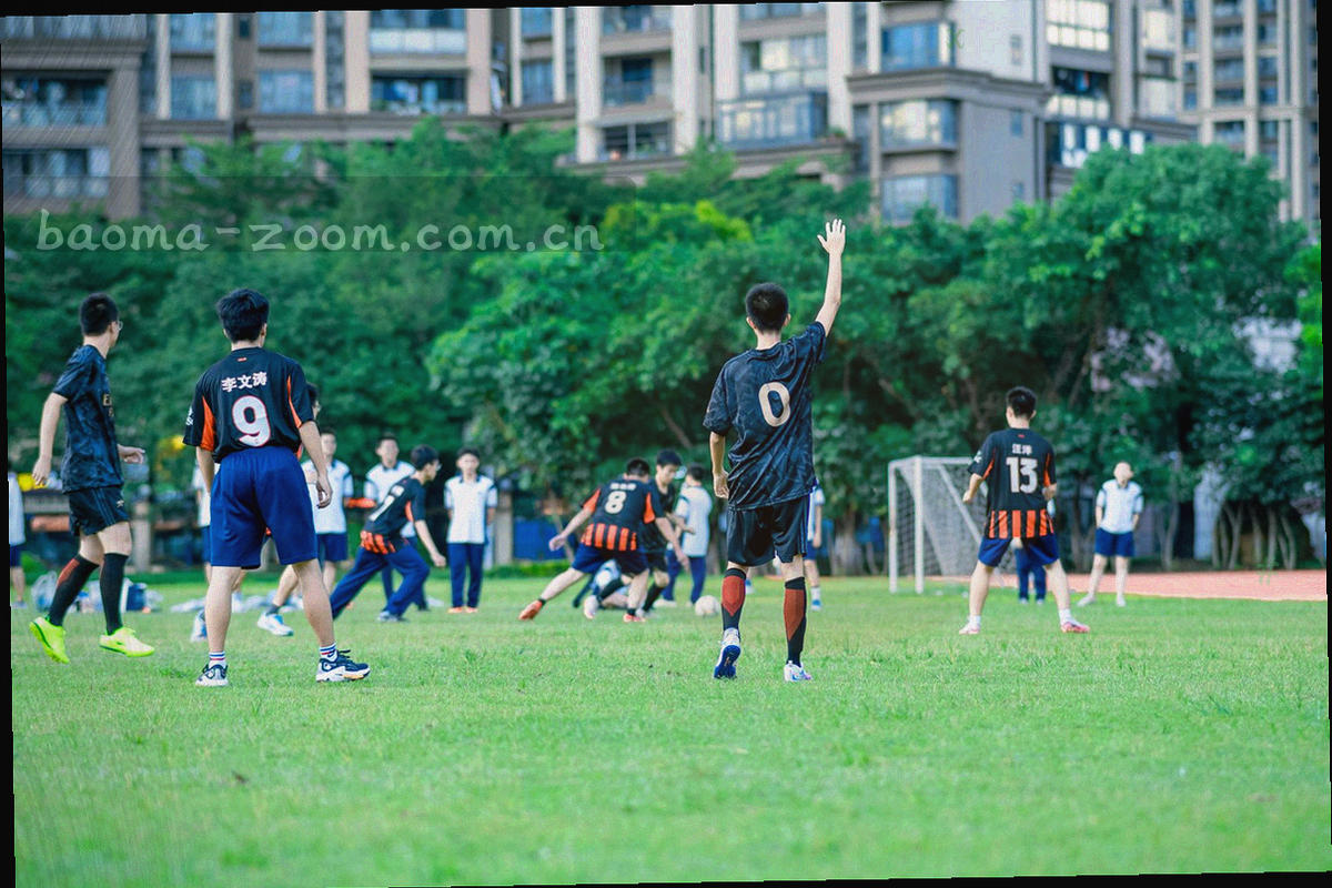 规则对照清单与步骤条的信息图局部，暖橙色标出重点项